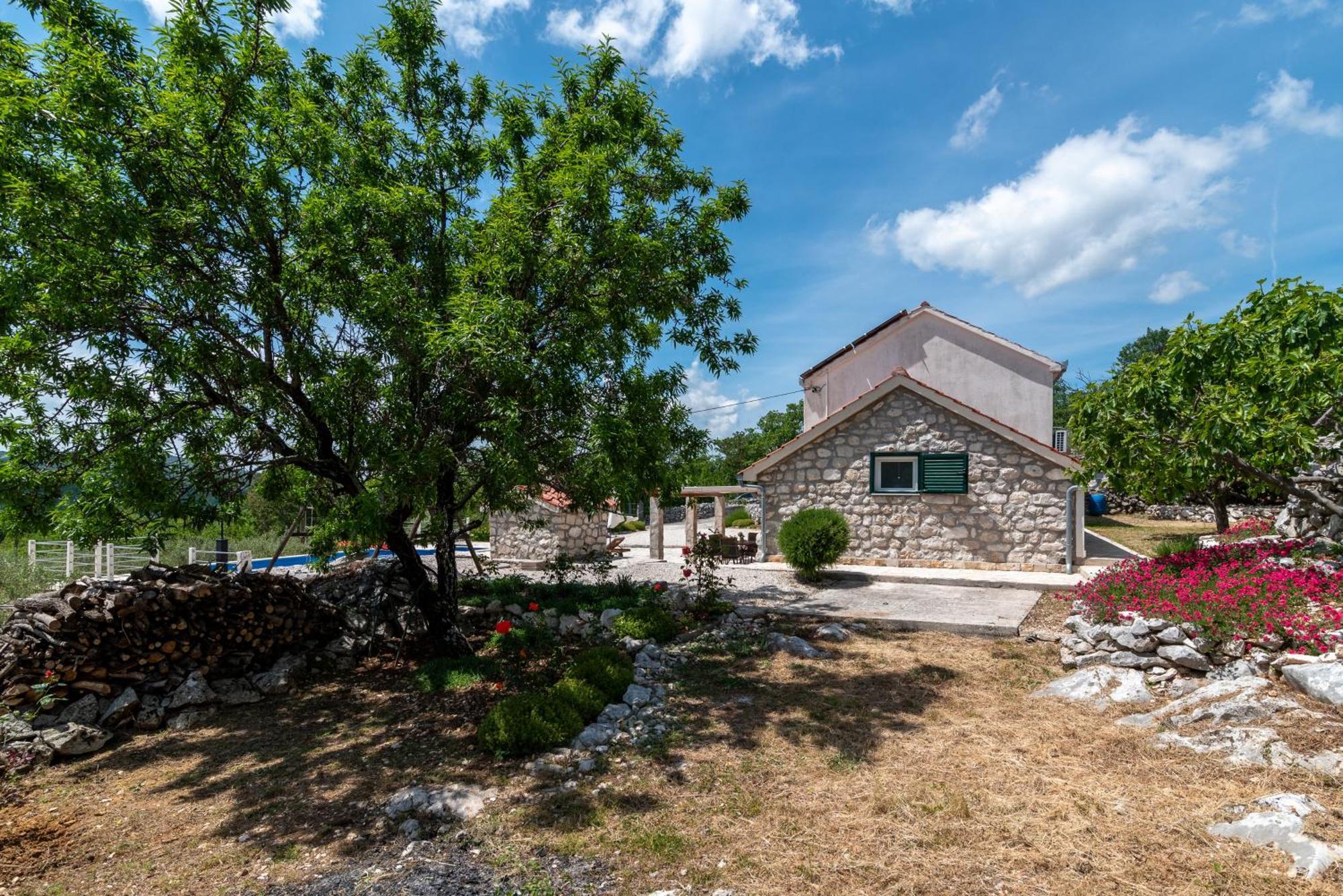 Villa Zuza Bristivica Ngoại thất bức ảnh